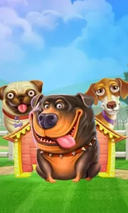 The Dog House